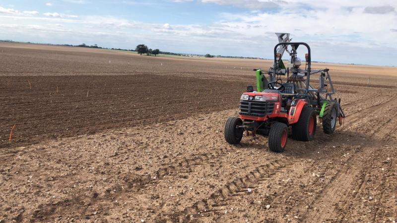 One of the biggest challenges this year – as for many farmers – has been cabbage stem flea beetle attacks on oilseed rape