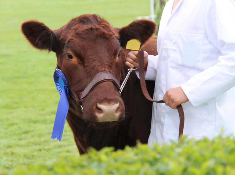 A show chairman says more young farmers and volunteers are needed to keep small farming shows going