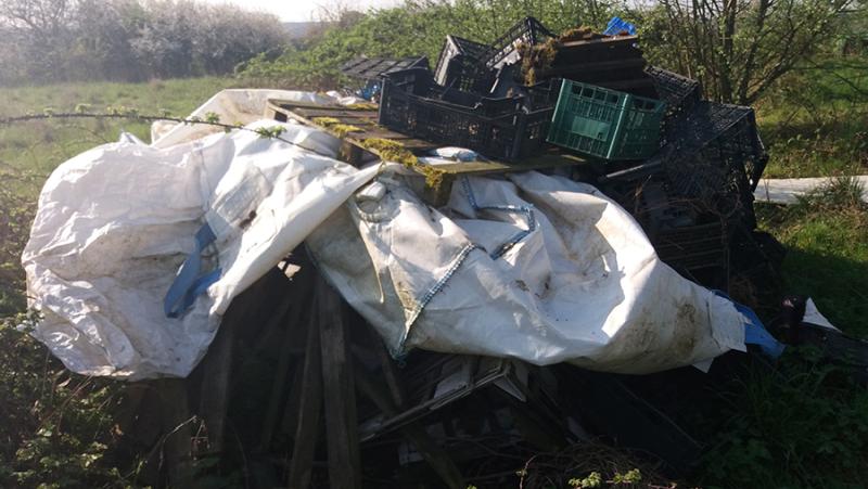 The man attempted to hide his dead pigs under a heap of wood, boxes and bags