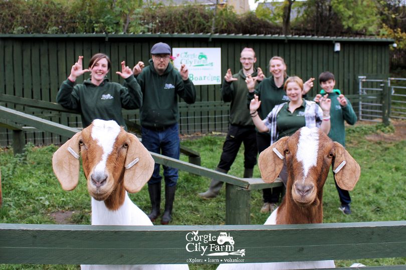 The urban farm was set up to give disadvantaged people new opportunities (Photo: Gorgie City Farm/Facebook)