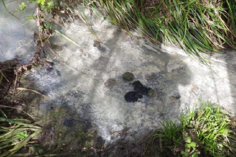 The farmer was ordered to pay out over £8,000 for polluting a popular wildlife spot