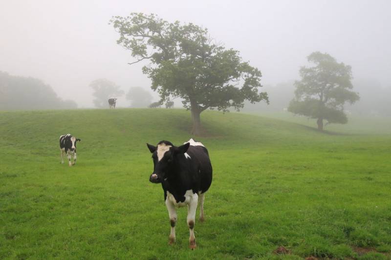 The weather was a key influencer for incomes across all farm types; a very cold, late spring and an extremely hot, dry summer affected profitability