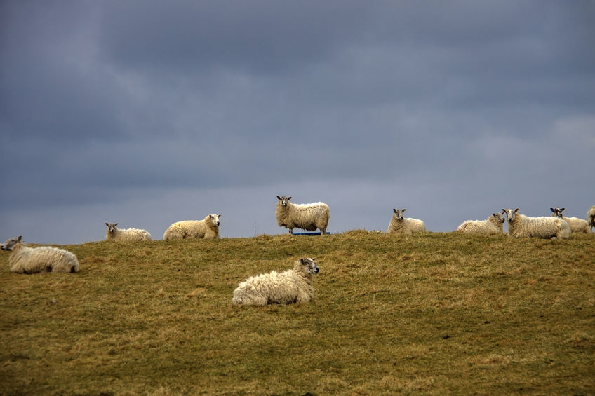 The study explored the mental wellbeing of Scottish farmers and highlighted the importance of support