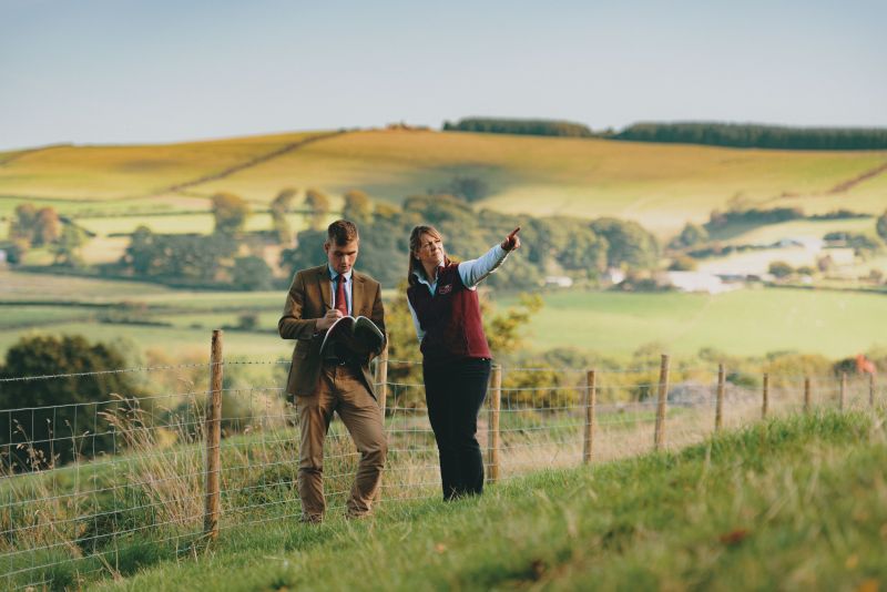 Farmers who don’t have anyone to take on the farm have four options