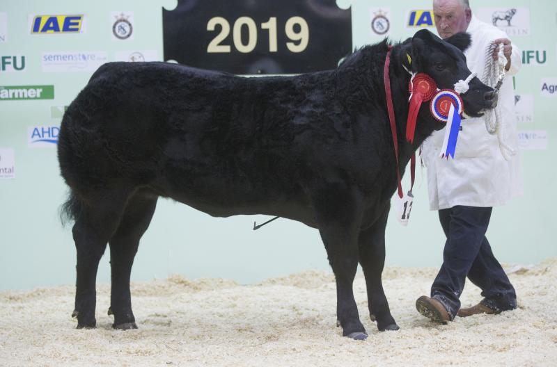 The Somerton-based farmer claimed the fair's coveted supreme champion title