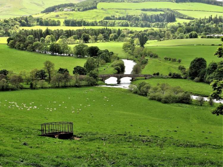 Farmers would be supported to protect and restore the environment under a Liberal Democrat government