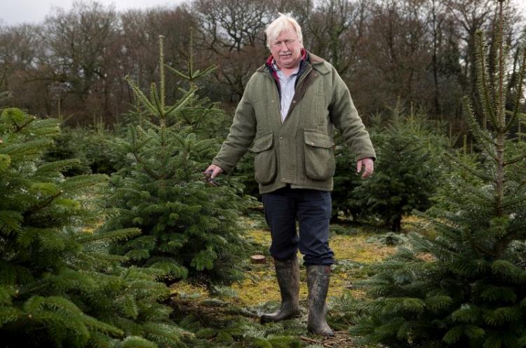 Livestock farmer and Christmas tree grower David Phillips now aims to plant some Noble Fir specifically for foliage