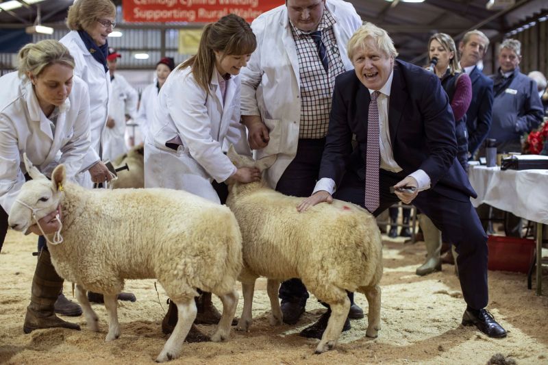 Boris Johnson visited the farming show located in the marginal Brecon and Radnorshire consituency (Photo: Dan Kitwood/AP/Shutterstock)