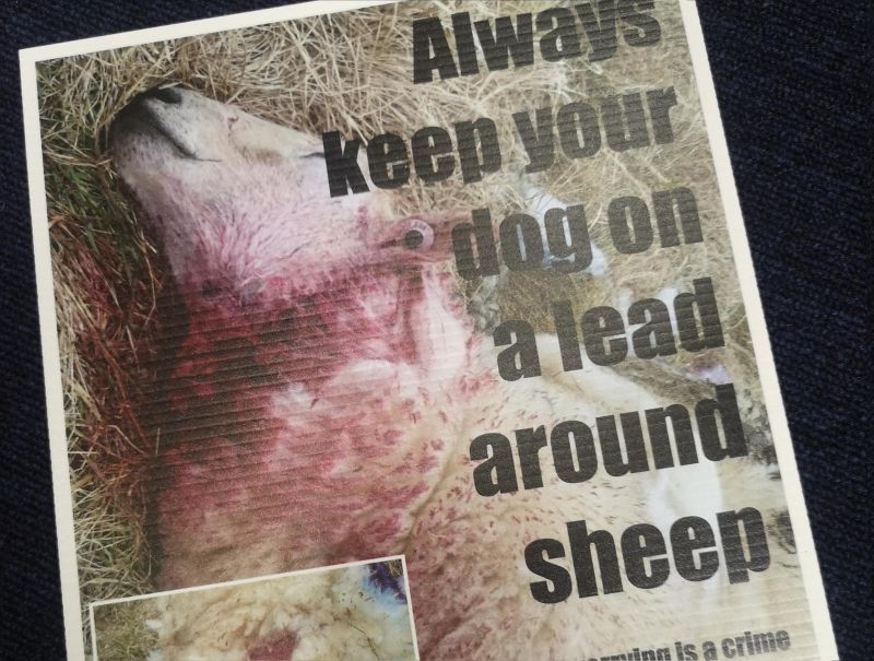 The police have used an image of a recent incident to educate the public on responsible dog ownership (Photo: Gloucestershire Constabulary/Twitter)