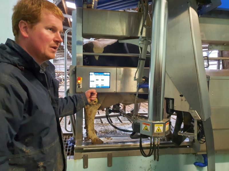 Milk output has changed dramatically from the conventional system to the robotic system
