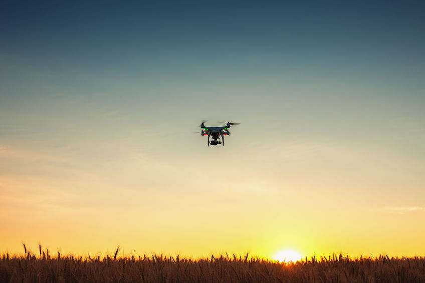 Improper use of drones can cause sheep to panic