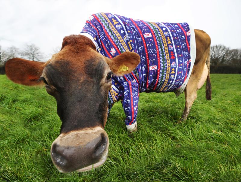 Farmer Becky Houzé has taken her farm