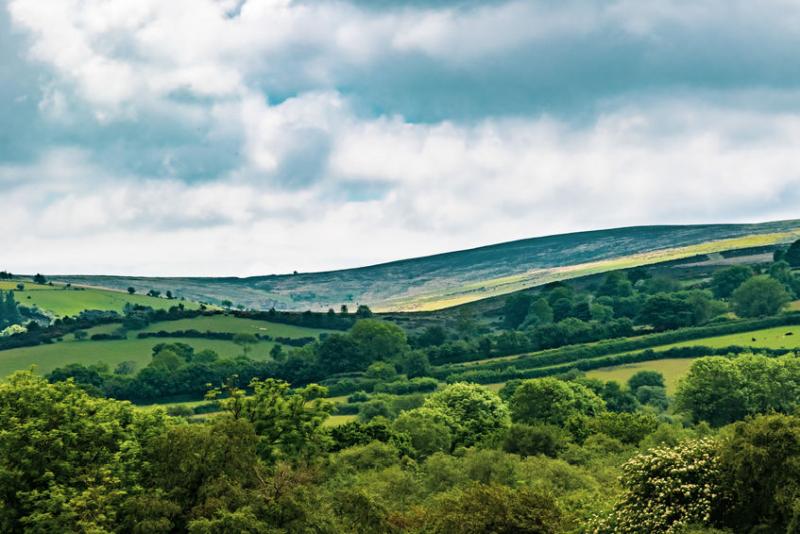 Farmers can bid for funding to deliver a selection of measures on their farm