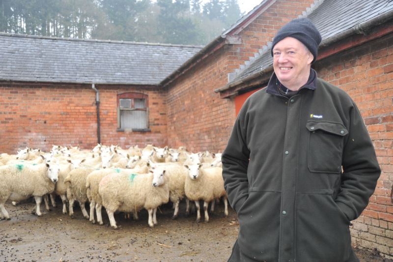 Sheep expert Dr John Vipond has urged farmers to rethink their approach to feeding pregnant ewes