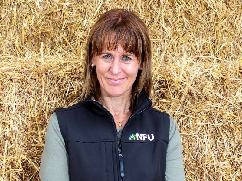 Top of the priority list for 2020 is reaching a trade deal with the EU by the end of the year, the NFU president said
