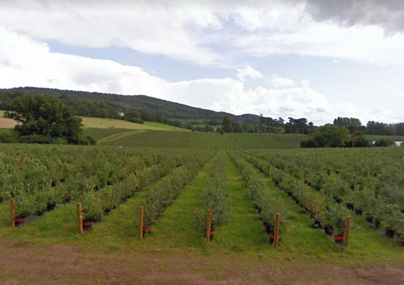 Withers Fruit Farm, based in Ledbury, is one of the UK’s largest producers of soft fruits (Photo: Google Maps)