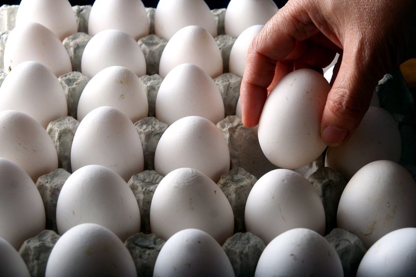 Hard boiled eggs produced by Almark Foods at Gainesville, Georgia were the likely source of the outbreak, food regulators say