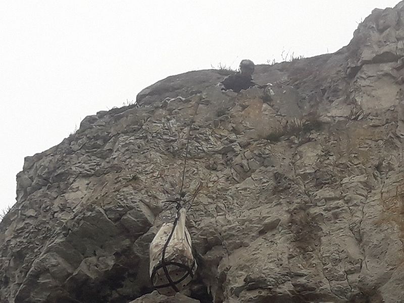 The dramatic sheep operation was successfully completed as five rescuers abseiled down a 100ft cliff