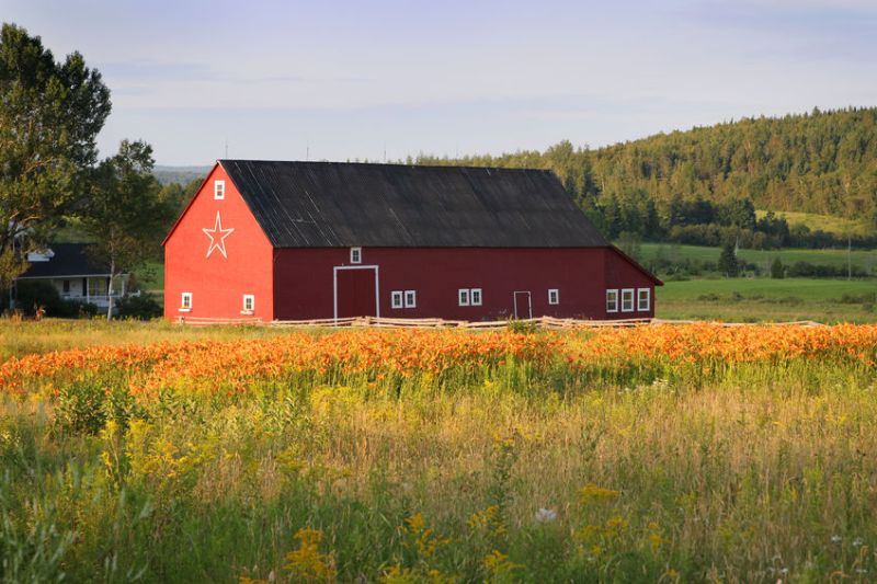 The fund is after UK and Canadian businesses who aim to transform food production while slashing emissions