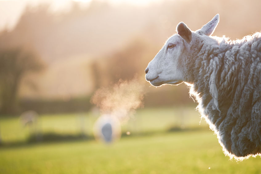 Agriculture is currently responsible for around 10% of UK emissions, with methane from livestock production making up just over half of this figure