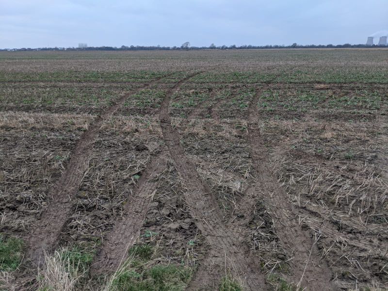 Considerable damage was caused to fields and crops