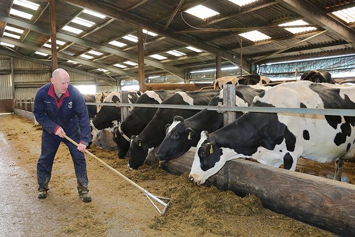 Scientists studied the lives of 700 cows from the Langhill herd of cows housed at Crichton Royal Farm in Dumfries