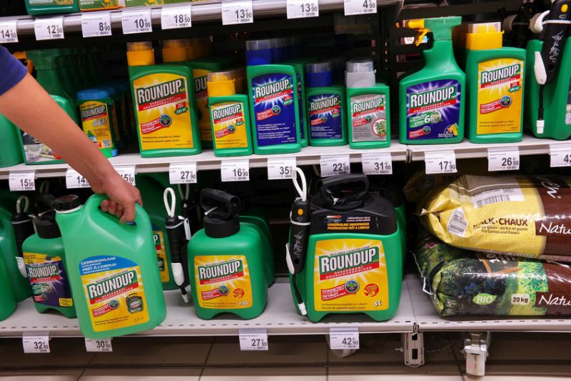 The EPA reiterated its conclusion that “glyphosate is not likely to be carcinogenic to humans”