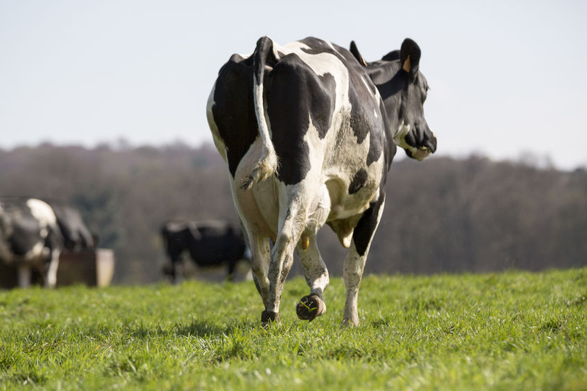 Stats in the leaflet that show dairy production is responsible for just 3% of global greenhouse gas emissions