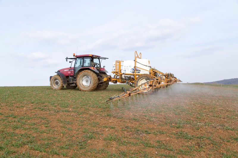 To give the crop the best chance to grow away and out-compete grassweeds, herbicide applications should be made as soon as possible