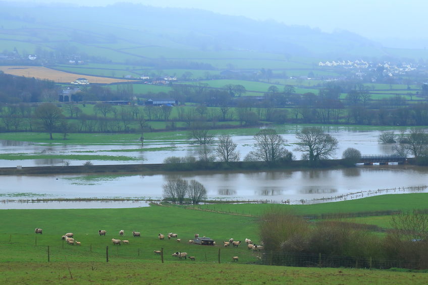 Storm Ciara battered the UK with rain and winds of more than 80mph on Sunday, causing widespread damage