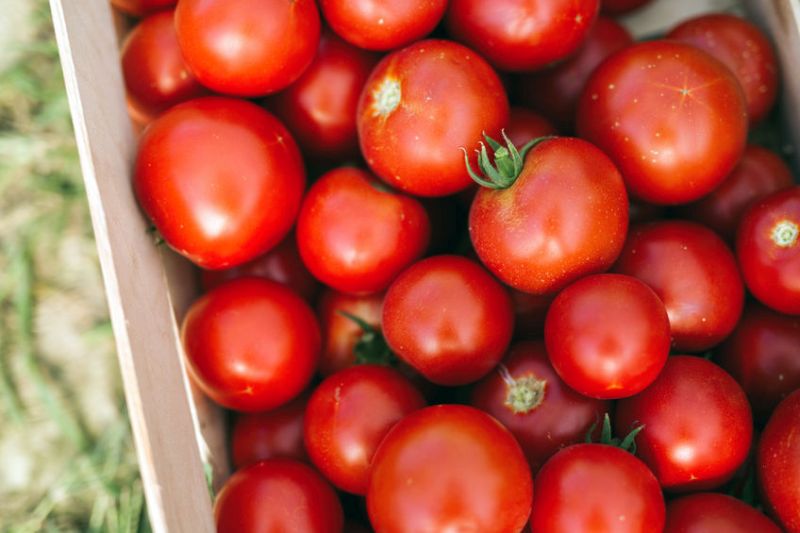 Researchers say earmarking more land for growing fruits and vegetables after Brexit could help to reduce deaths from diseases