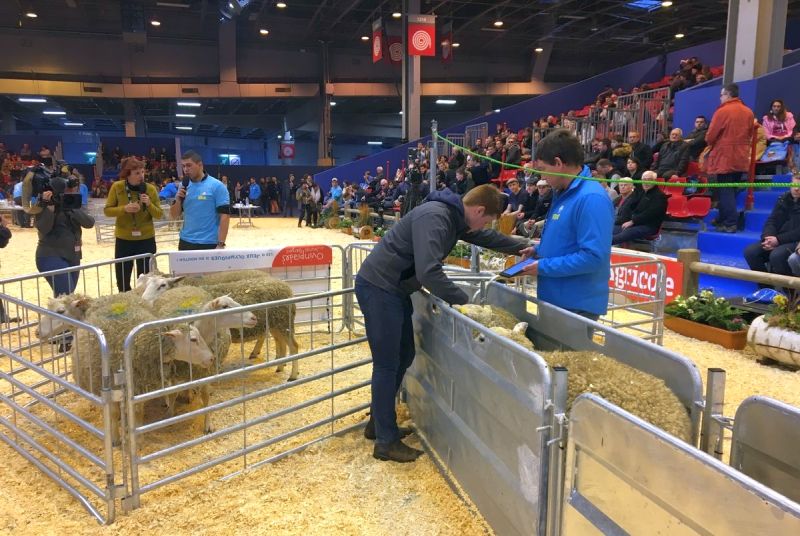 France will once again host the European final as part of the Ovinpiades Young Shepherds Competition