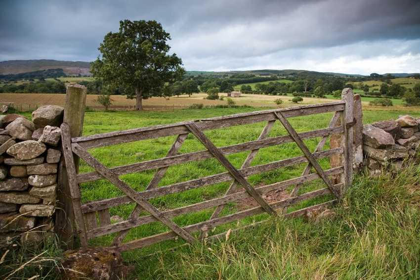 In Gee v Gee (2018), a son who had spent his life working on the farm claimed an interest in the family farm under proprietary estoppel