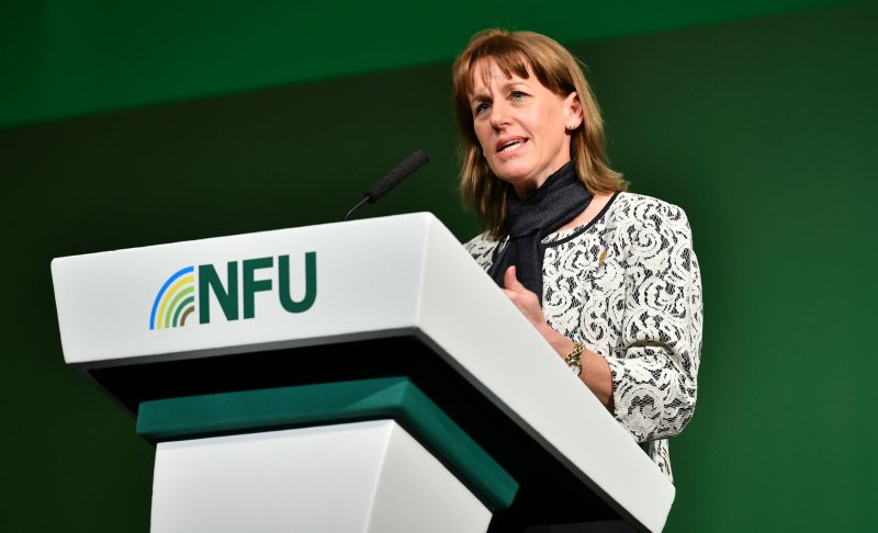 NFU President Minette Batters said food and farming is at the core of the UK's economy and any immigration policy must deliver for its needs