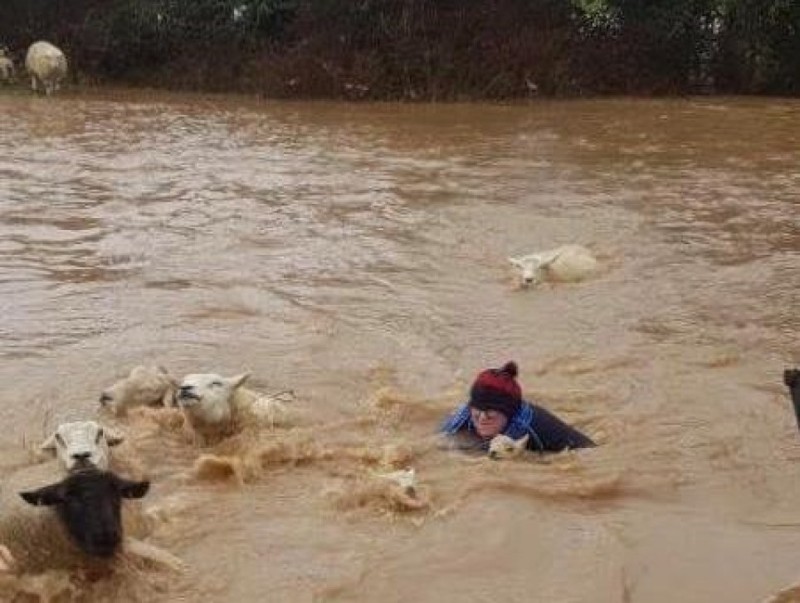 The 26-year-old farmer took matters into her own hands and rescued her sheep following the flash flood (Photo: Faye Russell)