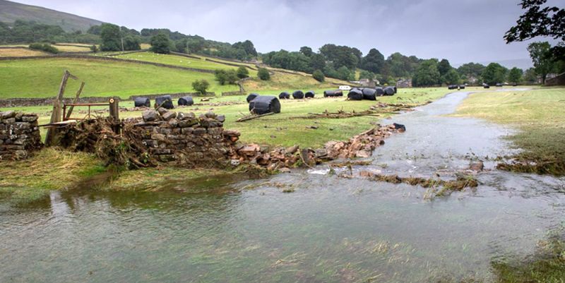 The funds help to alleviate pressing financial worries, allowing farmers to concentrate on dealing with the immediate impacts of the extreme weather