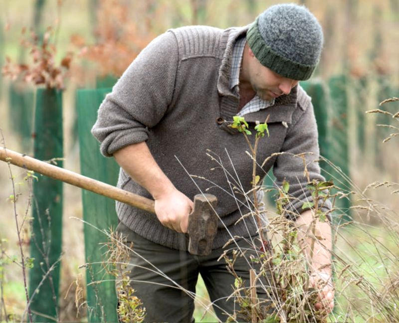 Respondents reported that they planted 47.3 ha or 117 acres on average over the past ten years