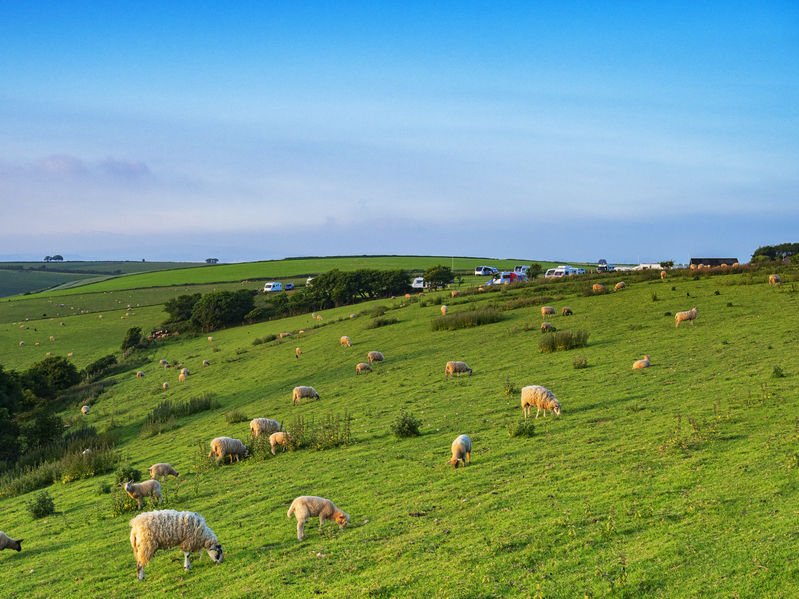 The report said focus must shift on 'improving the county’s grasslands and livestock production'