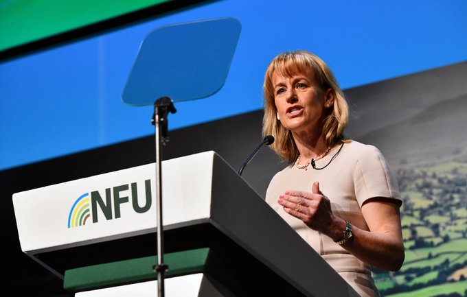 NFU President Minette Batters called for the prime minister and other government ministers needed to stand up for British values in trade talks