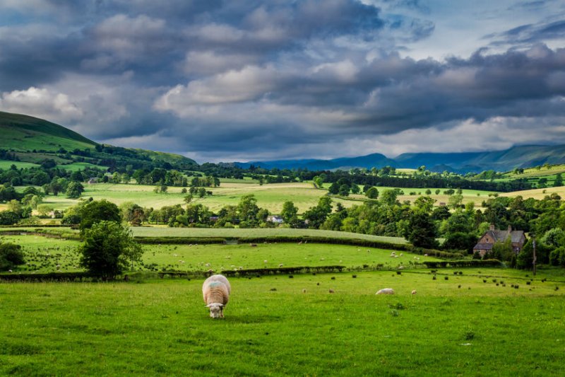 The online toolkit gives farmers the facts on nutrition, climate and animal welfare