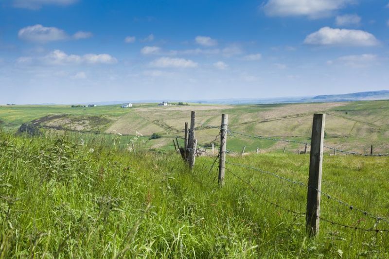 The Countryside Alliance has criticised Labour as the defeated amendment would have had a 'huge impact' on farming