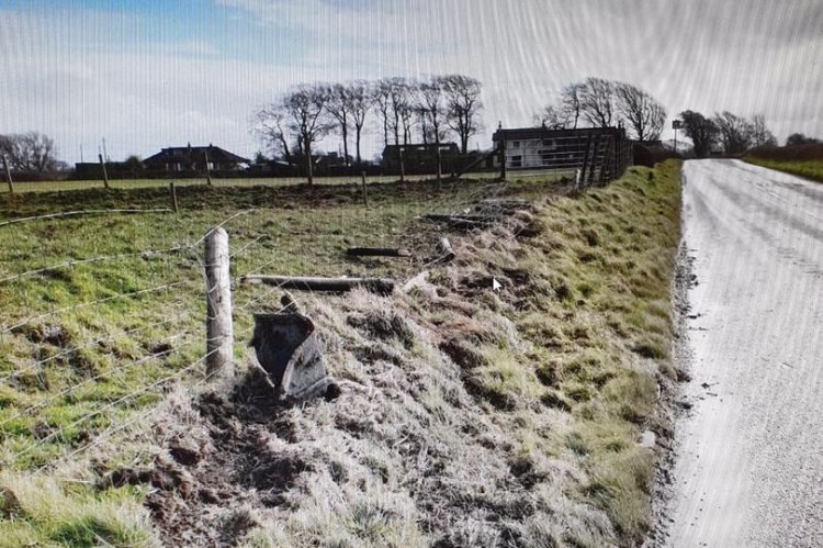 The ewe was killed after a car crashed into a farm's metal fencing (Photo: Lancashire Police)
