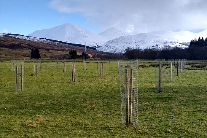 It is hoped the project will encourage farmers and landowners to consider tree proposals on their land