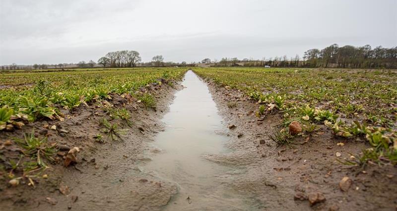 The NFU is now urging Defra to take a 'common-sense approach' to managing the effects of consistent wet weather and flooding