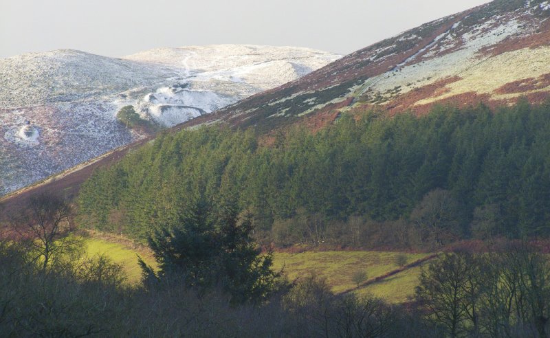 The Welsh government said it wants to work with farmers and land managers to 'translate ambitions into immediate action'