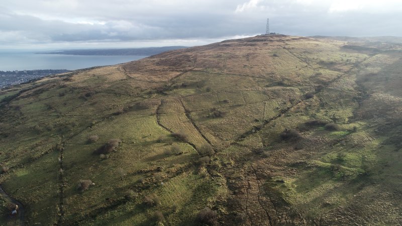 The agricultural land is within a Site of local Nature Conservation Importance (Photo: Osborne King)