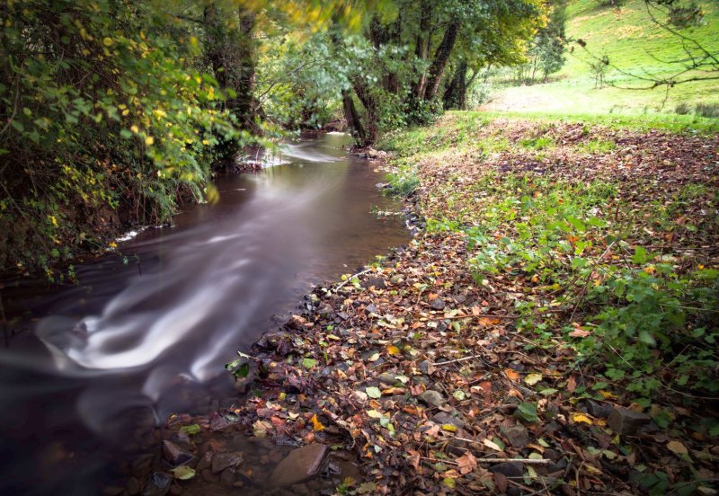 Diesel or chemical spills, slurry escapes or run-off from livestock farms into watercourses are four of the most common pollution incidences