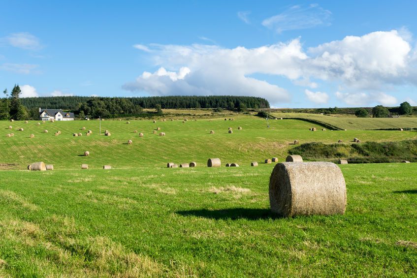 The resilience fund provides grants for a variety of different projects which aim to help farmers understand the changes ahead