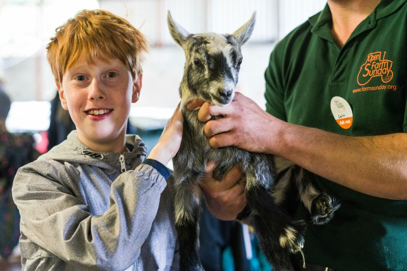 Open Farm Sunday is seen as an important opportunity for open dialogue between farmers and the public