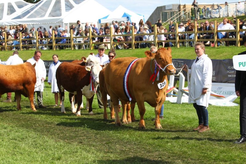 Numerous high profile agricultural shows and events have been called off due to the coronavirus situation